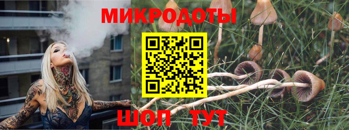 Галлюциногенные грибы GOLDEN TEACHER  как найти наркотики  Вход с VPN  Россия  Галлюциногенные грибы MAGIC MUSHROOMS 